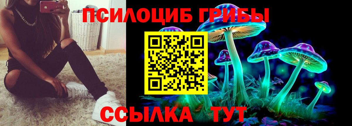 закладка  Псилоцибиновые грибы Psilocybe  Вход с VPN  Минусинск 